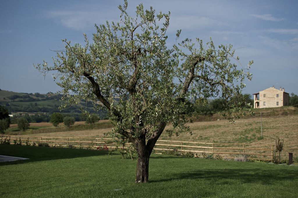 Séjour à la ferme Moresco Agriturismo